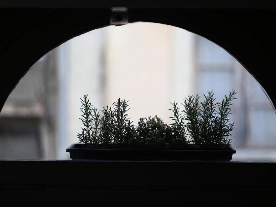 Le Relais De La Maison Bacou Carcassonne Cameră foto